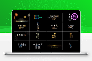 PR动态文字特效模板歌词MV音乐电影标题排版字幕动画预设57套