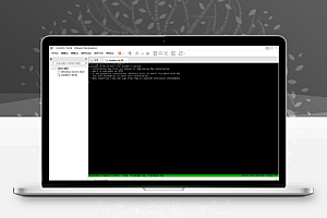 【VMware-workstation-17.6.1】桌面虚拟计算软件