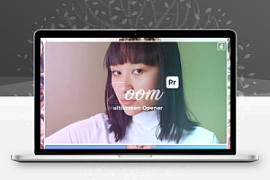 PR多屏分屏照片切割转换视频转场动画预设 Zoom Multiscreen Opener for Premiere Pro
