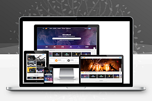 Ripro V5日主题 v8.3 开心授权版 wordpress主题虚拟资源下载站首选主题模板