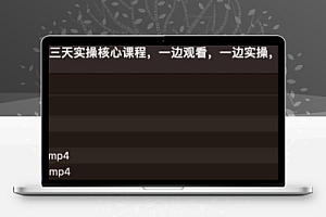 闲鱼开店,三天实操核心课程,一边观看,一边实操,没有废话,没有套路 1.2G