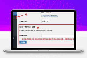 RiPro主题RiPro-V5解决被篡改网站标题方法