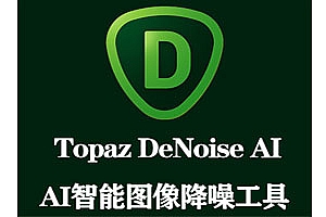 黄玉AI智能图片降噪软件 Topaz DeNoise AI 3.7.1 Win破解版下载 持续更新