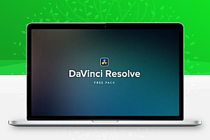 达芬奇简约文字标题字幕动画预设插件 mHelloDV