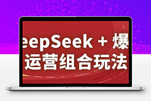DeepSeek+爆品运营组合玩法,2025淘系精品课