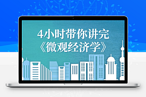 4小时带你讲完《微观经济学》