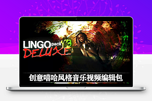 创意嘻哈说唱风格音乐视频冲击抖动预设音效素材包 LINGO PACK V3 DELUXE