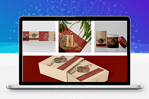 茶叶品牌礼品盒PS样机包装盒子国潮VI文创贴图设计素材模版21款