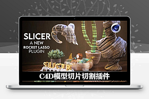 C4D模型切片切割插件 RocketLasso Slicer v1.03 For Cinema 4D R20-2025 Win