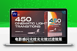 PR模板|专业电影感闪光炫光光效过渡效果 Seamless Light Transitions for Premiere Pro
